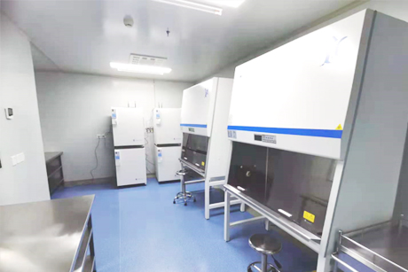 武汉贝索细胞科学技术研究院有限公司